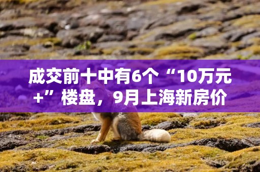 成交前十中有6个“10万元+”楼盘，9月上海新房价格持续领涨