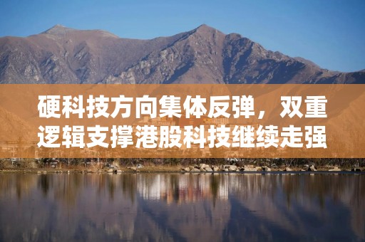 硬科技方向集体反弹，双重逻辑支撑港股科技继续走强