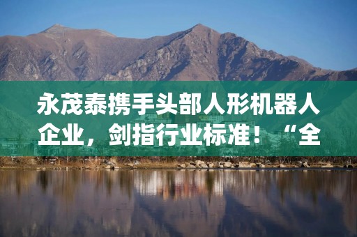 永茂泰携手头部人形机器人企业，剑指行业标准！“全市场唯一两百亿规模”机器人ETF(562500) 放量上行，市场活跃