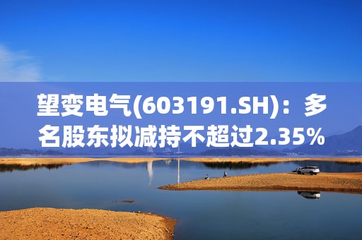 望变电气(603191.SH)：多名股东拟减持不超过2.35%股份