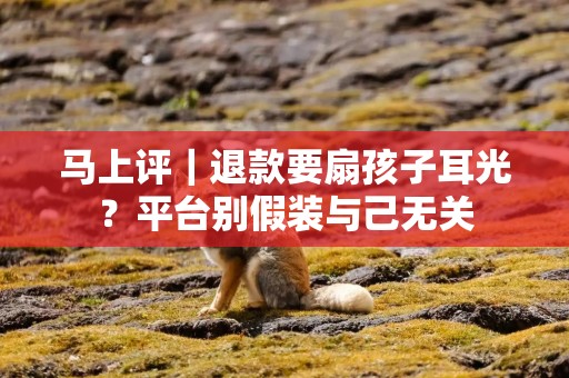 马上评｜退款要扇孩子耳光？平台别假装与己无关