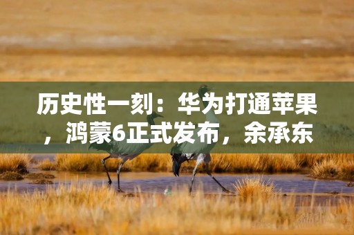 历史性一刻：华为打通苹果，鸿蒙6正式发布，余承东：流畅得像换了个新手机