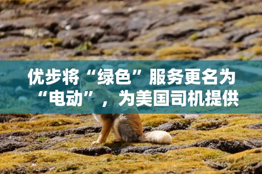 优步将“绿色”服务更名为“电动”，为美国司机提供4000美元补贴以转向电动汽车