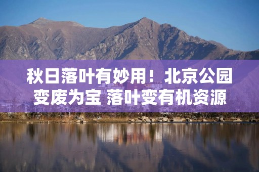 秋日落叶有妙用！北京公园变废为宝 落叶变有机资源