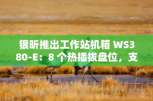 银昕推出工作站机箱 WS380-E：8 个热插拔盘位，支持 2U 冗余电源