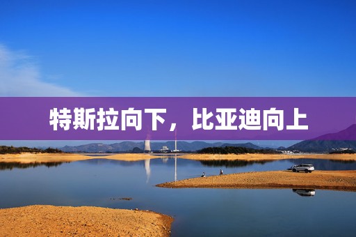 特斯拉向下，比亚迪向上