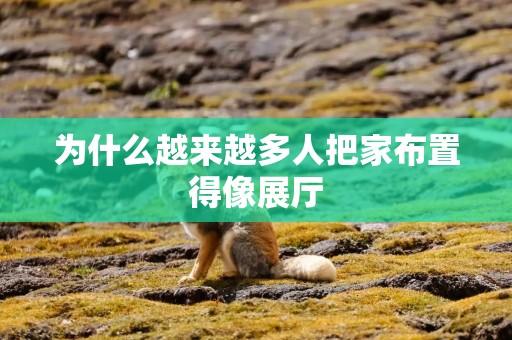 为什么越来越多人把家布置得像展厅