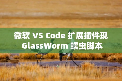 微软 VS Code 扩展插件现 GlassWorm 蠕虫脚本