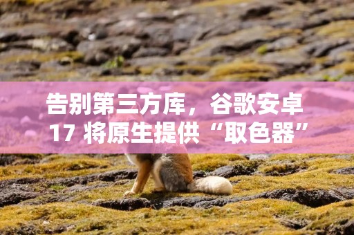 告别第三方库，谷歌安卓 17 将原生提供“取色器”