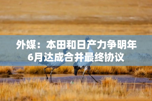外媒：本田和日产力争明年6月达成合并最终协议