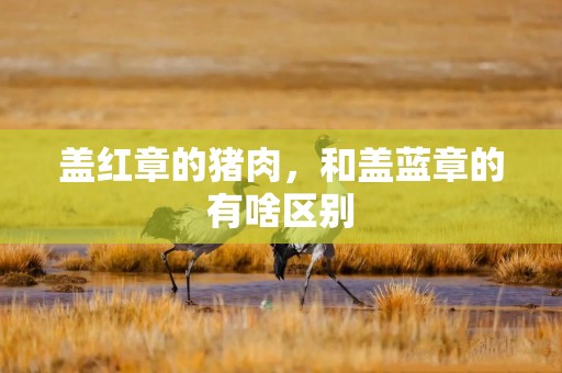 盖红章的猪肉，和盖蓝章的有啥区别