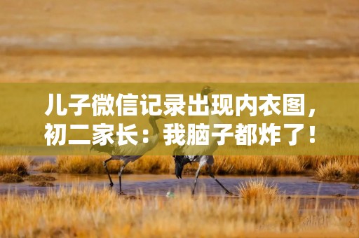 儿子微信记录出现内衣图，初二家长：我脑子都炸了！这该怎么办