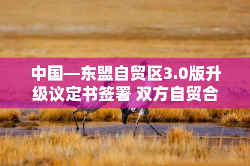 中国—东盟自贸区3.0版升级议定书签署 双方自贸合作向更深层次迈进