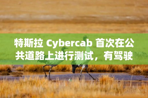 特斯拉 Cybercab 首次在公共道路上进行测试，有驾驶员和外后视镜