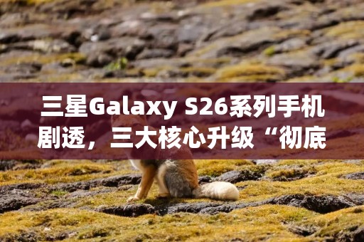 三星Galaxy S26系列手机剧透，三大核心升级“彻底改变用户体验”