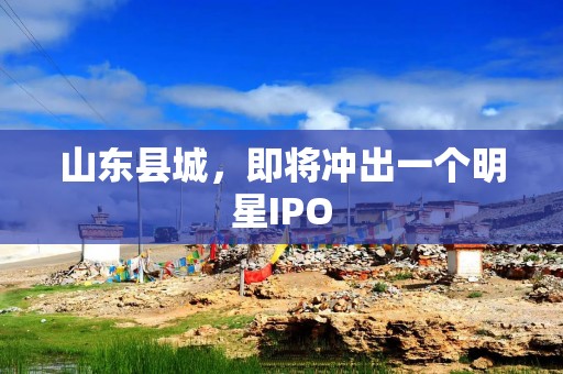 山东县城，即将冲出一个明星IPO
