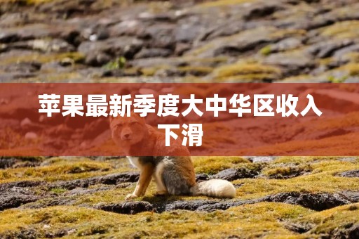 苹果最新季度大中华区收入下滑