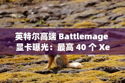 英特尔高端 Battlemage 显卡曝光：最高 40 个 Xe2 核心、192-bit 位宽、512MB 堆叠 3D 缓存