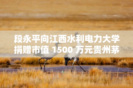 段永平向江西水利电力大学捐赠市值 1500 万元贵州茅台股票