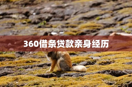 360借条贷款亲身经历