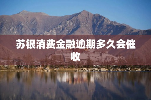 苏银消费金融逾期多久会催收