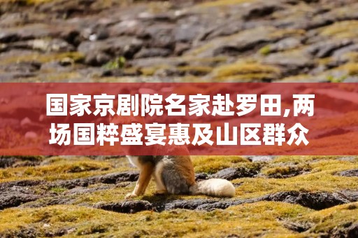 国家京剧院名家赴罗田,两场国粹盛宴惠及山区群众