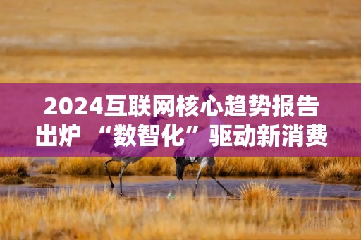 2024互联网核心趋势报告出炉 “数智化”驱动新消费崛起