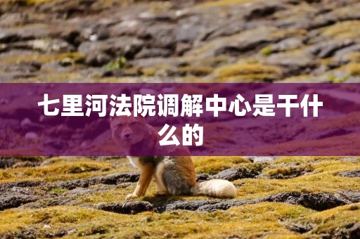 七里河法院调解中心是干什么的