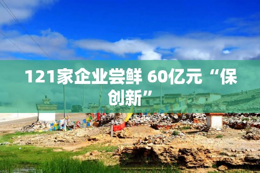 121家企业尝鲜 60亿元“保创新”