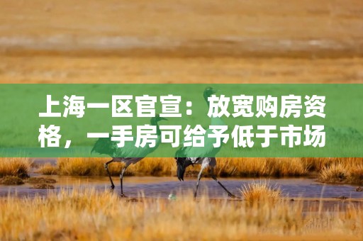 上海一区官宣：放宽购房资格，一手房可给予低于市场价的优惠！人才购房新政发布