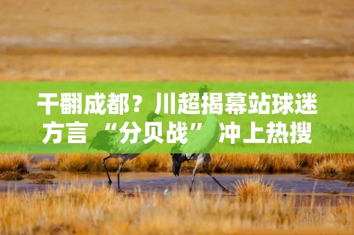 干翻成都？川超揭幕站球迷方言 “分贝战” 冲上热搜，郎酒携福利点燃全川热情