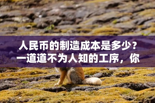 人民币的制造成本是多少？一道道不为人知的工序，你了解几个？