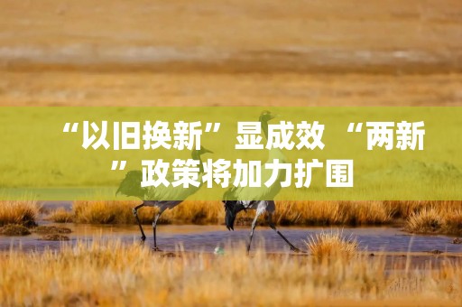 “以旧换新”显成效 “两新”政策将加力扩围