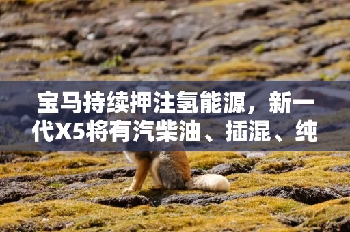 宝马持续押注氢能源，新一代X5将有汽柴油、插混、纯电、氢能5种动力