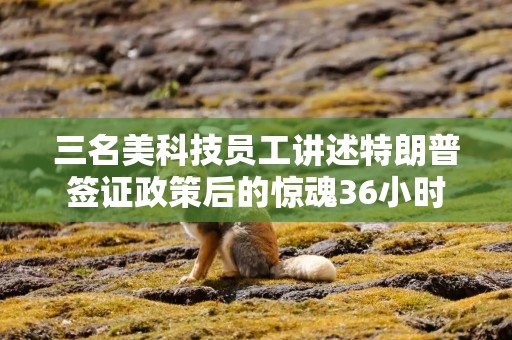 三名美科技员工讲述特朗普签证政策后的惊魂36小时