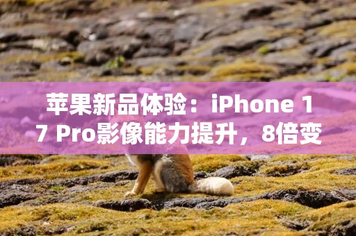 苹果新品体验：iPhone 17 Pro影像能力提升，8倍变焦拍远景好用