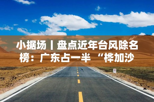 小据场丨盘点近年台风除名榜：广东占一半 “桦加沙”前身曾严重致灾