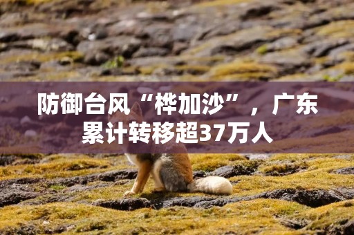 防御台风“桦加沙”，广东累计转移超37万人