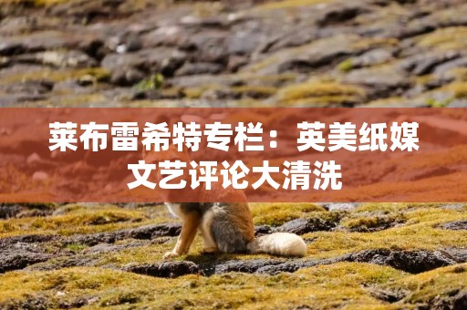 莱布雷希特专栏：英美纸媒文艺评论大清洗