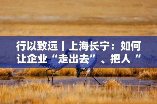 行以致远｜上海长宁：如何让企业“走出去”、把人“留下来”？