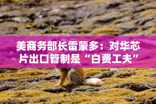 美商务部长雷蒙多：对华芯片出口管制是“白费工夫”，投资国内创新更重要