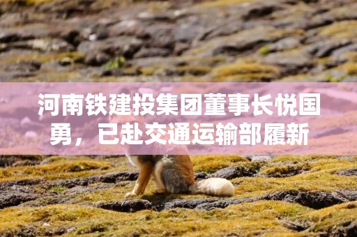 河南铁建投集团董事长悦国勇，已赴交通运输部履新