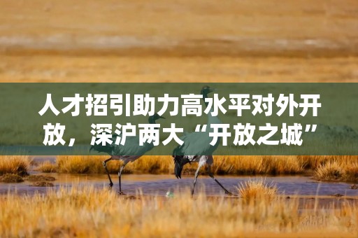 人才招引助力高水平对外开放，深沪两大“开放之城”挑起大梁