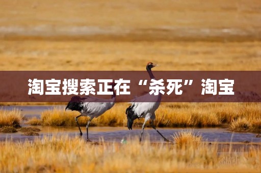 淘宝搜索正在“杀死”淘宝