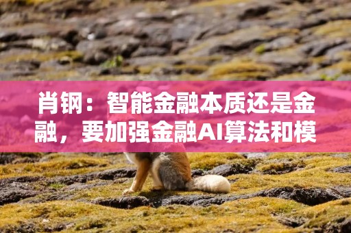 肖钢：智能金融本质还是金融，要加强金融AI算法和模型的治理