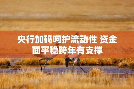 央行加码呵护流动性 资金面平稳跨年有支撑