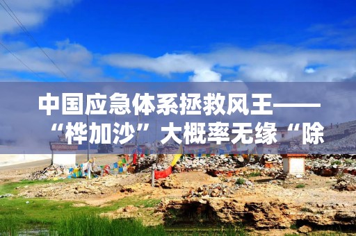 中国应急体系拯救风王——“桦加沙”大概率无缘“除名”