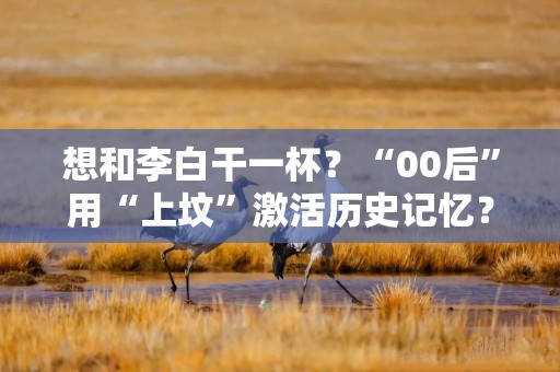 想和李白干一杯？“00后”用“上坟”激活历史记忆？