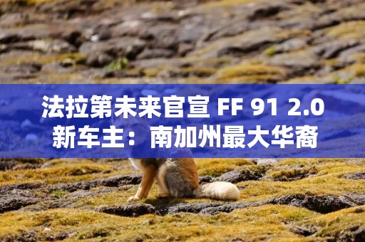法拉第未来官宣 FF 91 2.0 新车主：南加州最大华裔地产公司总裁
