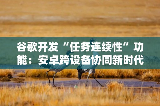 谷歌开发“任务连续性”功能：安卓跨设备协同新时代即将到来